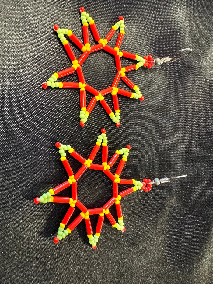 Beaded Star Burst Dangle Earrings Chris Crosbys Purple Coyote Earrings