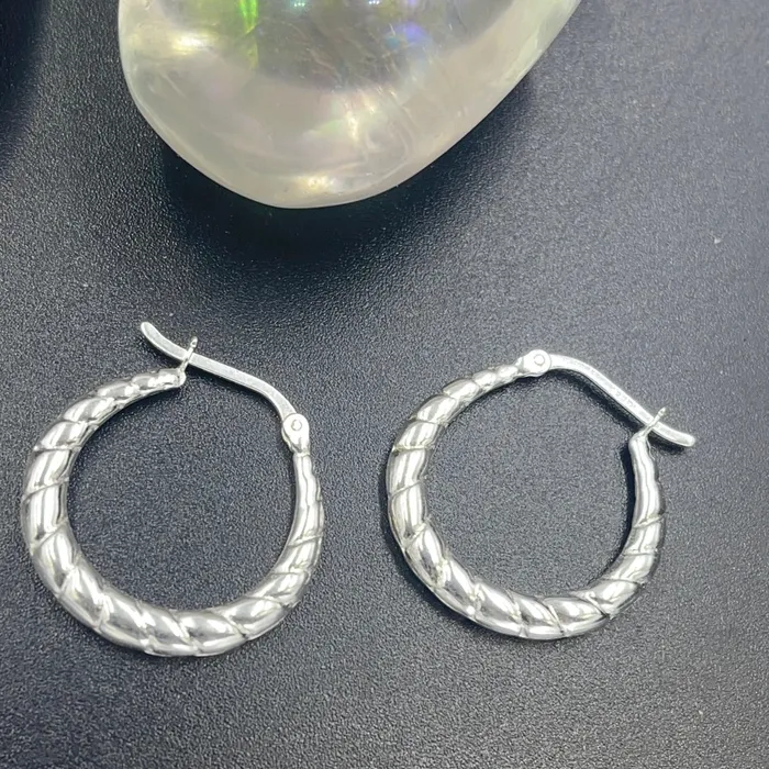 Earrings Sterling Silver Hoop Earrings Sophiareneboutique