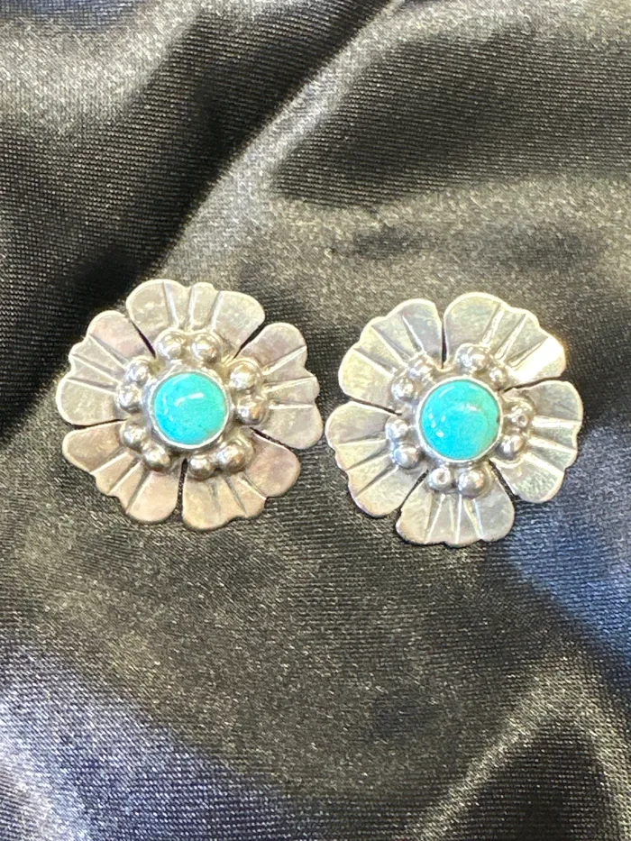 Sleeping Beauty Turquoise Sterling Earrings Chris Crosbys Purple Coyote Earrings Sleeping Beauty Turquoise Sterling Earrings Chris Crosbys Purple Coyote Earrings